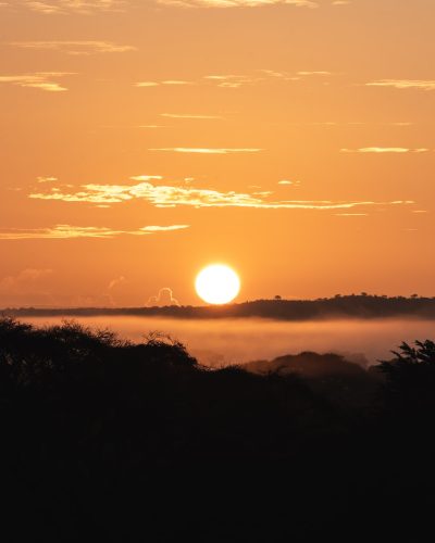 amboseli3