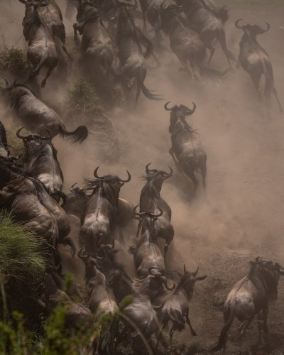 masai mara2