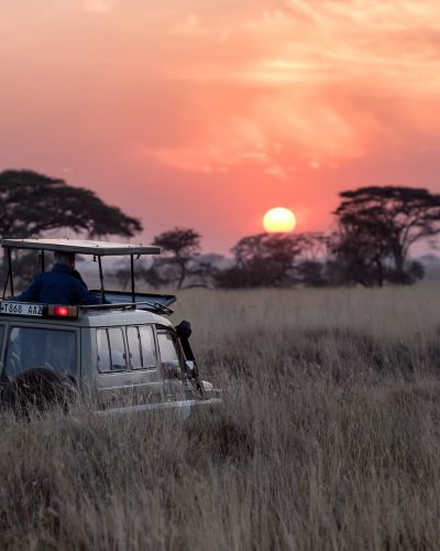 masai mara5