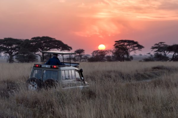 masai mara5