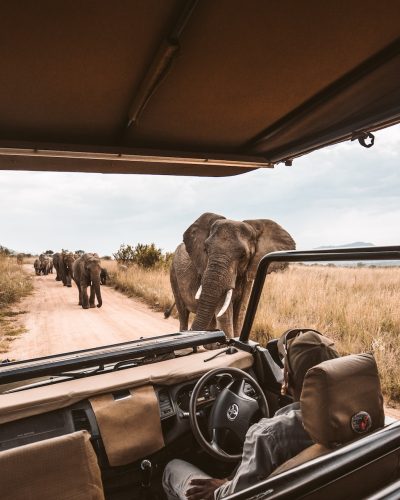 masai mara6