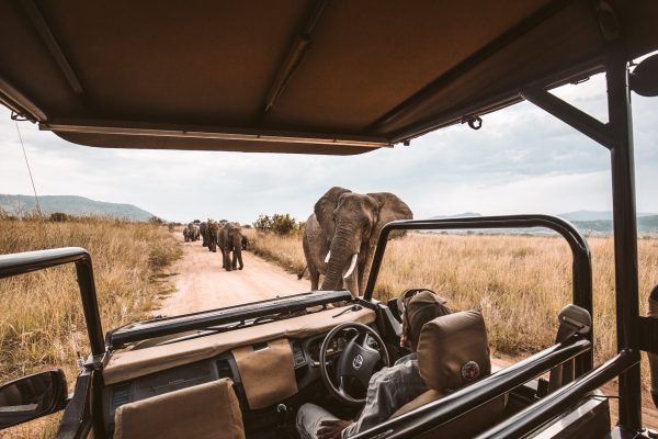 masai mara6