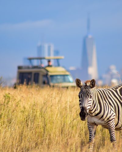 nairobi-national park2