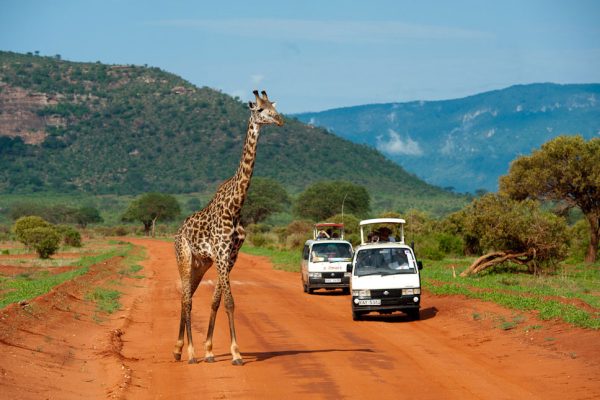 safari-tour-tsavo-east