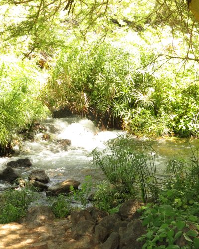 tsavo-westmzima springs